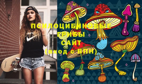 СК Михайловка