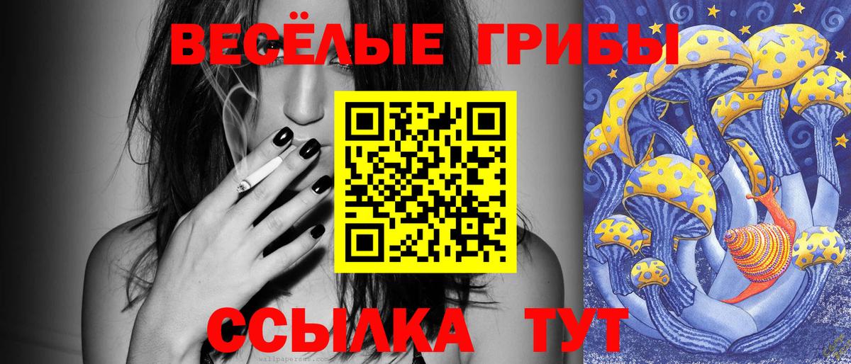 Псилоцибиновые грибы мухоморы  Галлюциногенные грибы Magic Shrooms  Дивногорск  Вход с VPN 