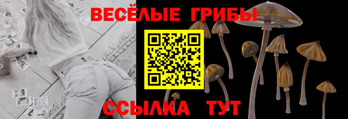 Псилоцибиновые грибы мухоморы Дивногорск